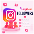 Instagram Followers