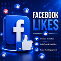 Facebook Likes